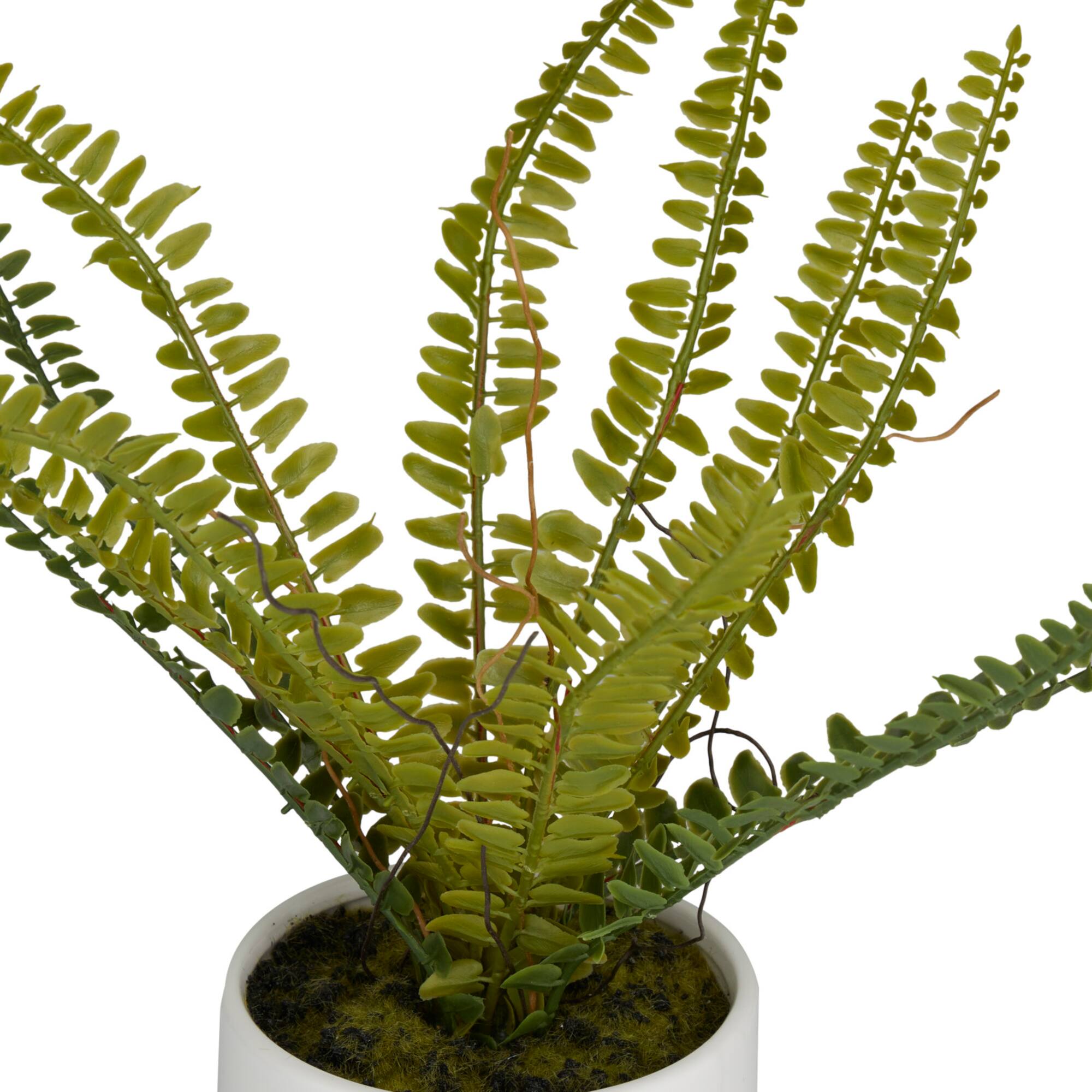 Green Ceramic Contemporary Artificial Foliage, 12" x 15" x 10"
